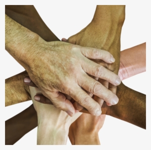 Emily's Entourage And The Fight Against Cystic Fibrosis - Studieninstitut Ruhr #1789663