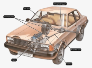 Front Engine Rear Drive - Rear Axle On Car #1790062