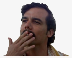 Lien Direct, - Human #1790538