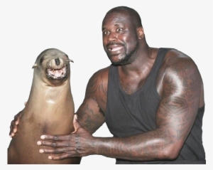 Banner Transparent Shaq Transparent Smile - Shaquille O Neal With Seal #1790615