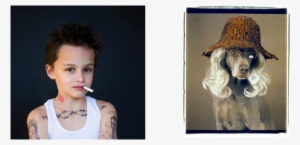 Picture - William Wegman #1791328