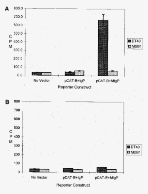 A, Bmresults Of Cat Assays , Using The Multiple Ig - Diagram #1791414