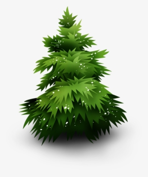 Christmas Tree - Spruce #1794799