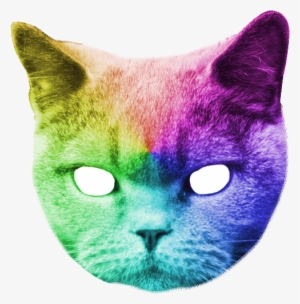 Stephen King With Cats #1794920