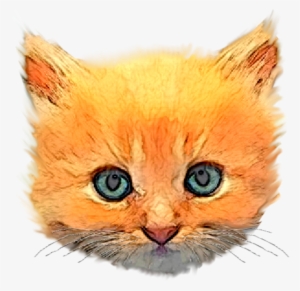 Free Images At Clker Com Vector Clip - Kitten Head Png #1795203