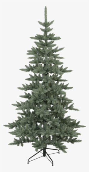 Christmas Tree Royal Blue - Balsam Fir Christmas Tree #1795291