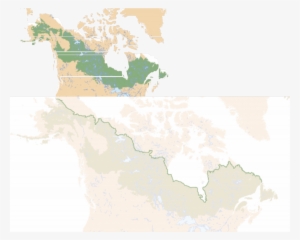 There Is Evidence That The Treeline Once Extended Well - Map #1796137