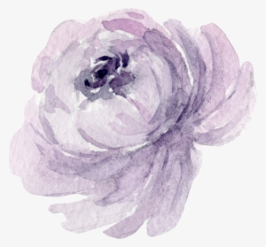 Flr - Garden Roses #1796320