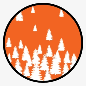 Forest Dynamics At Arctic Treeline #1796547
