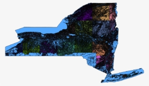New York Treeline Coverage - New York City #1796657