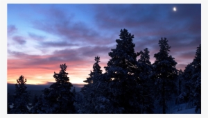 Ожидание Весны Это Как Ожидание Рая Vk #1796680