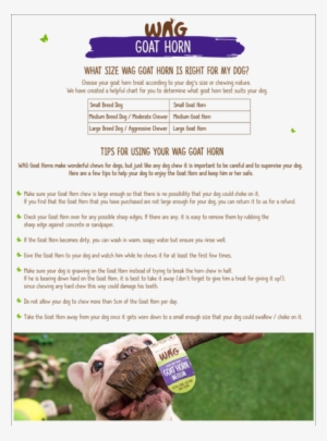 Wag Goat Horn - Hunting Dog #1796991