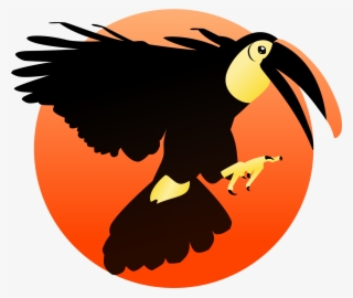 Bald Eagle Toucan Woodpecker Bird Beak - Beak #1797454