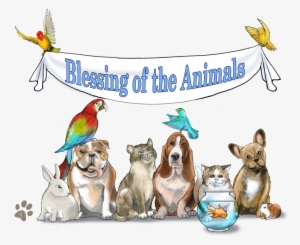 Blessing Of The Animals - Blessing Of Animals #180342