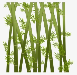 Bamboo By Blackwater627 On Deviantart #180438