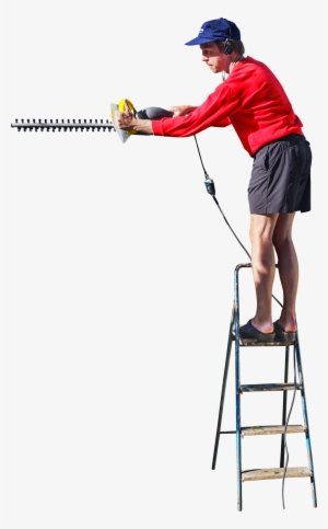 Free Png On A Ladder Cutting The Hedge Png Images Transparent - Cut Out People On Ladder #180754