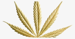 Goldmarijuanaleaf1-6 - - Gold Cannabis Leaf Png #180855