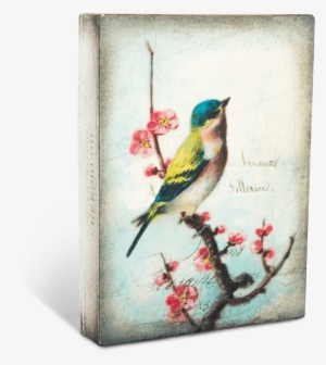 Vintage Pajaros Fondo #181748