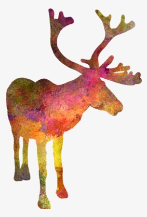 Click And Drag To Re-position The Image, If Desired #181785