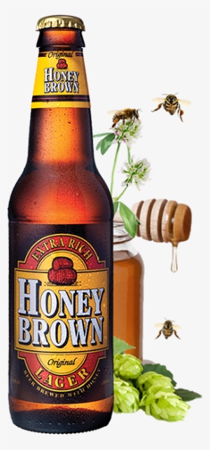 Honey Brown Bottle - Dundee Brewing Co. Original Honey Brown Lager - 12 #182061