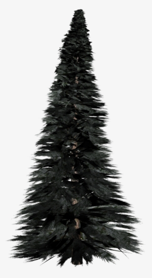 Pine Tree - Pine #182287