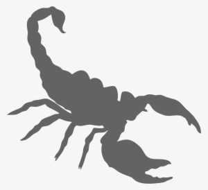A3 Scorpion - Scorpion Png #182487