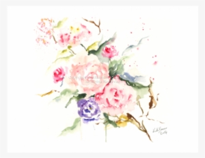 Hybrid Tea Rose #182588