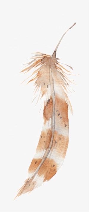 Vintage Feather Transparent Decorative - Rayell Canvas Print - Feathers Floating #182728