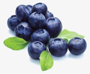 Blueberry Png File - National Blueberry Month #182956