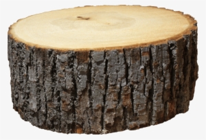 Logs - Wood Log Png #182960