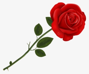 Red Rose Transparent Png Clipart #183264