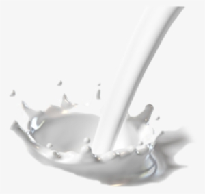 Milk Png Free Download - White Milk Splash Png #183341