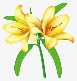 Flowers For Yellow Flower Clip Art Png - Yellow Lily Clip Art #183499