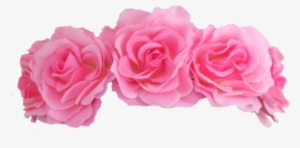Visit - Flower Crown Pink Png #183520 Visit - Flower Crown Pink Png #183520