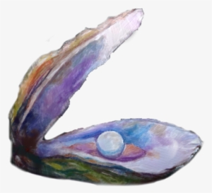 The Pearl - " - Shell #183541