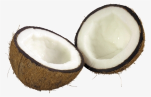 Free Png Coconut Png Images Transparent - Coconut Png #183606