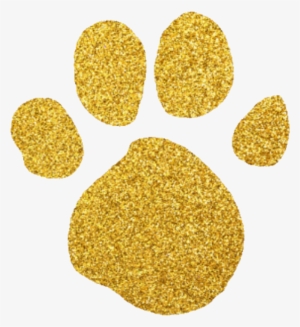 The New Gold Pawprint Clue Party, Pawprint, Blues Clues, - Original, The Remix, Mic Drop Family Shirts #184157