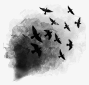 Black Smoke Birds Afterdark Ftestickers - ابتسم لا احد يهتم كيف تشعر #184180