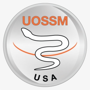 Jboss #185542