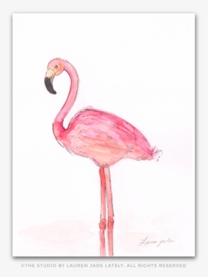 Flamingo No - Two - Drawing #185597