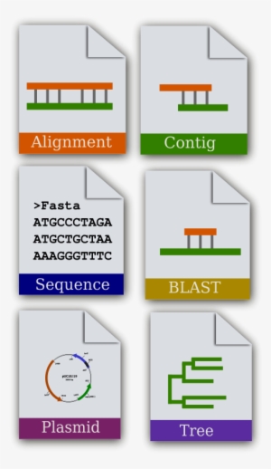 Free - Bioinformatics Vector #185644