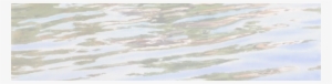 2007 - “ #185689
