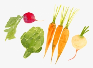 Veggies-thumbnail #185690