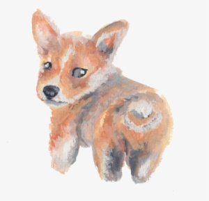 Korgi - Swift Fox #185769