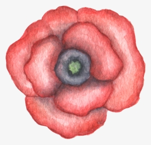 Hand Drawn Gradient Red Flower Watercolor Transparent - Watercolor Painting #186011