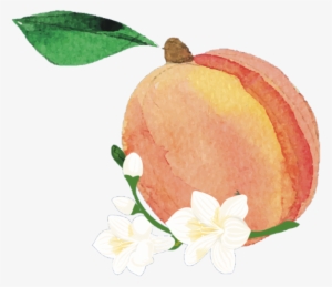 Illustration #186172