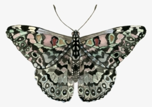 Hello, My Name Is Claire And I'm An Artist Living And - Art #186173