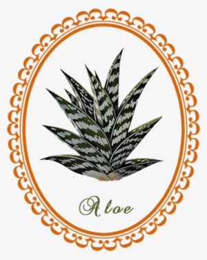 Vera Herb Savvy Crystal - Yarrow Leaf Transparent Art #186484