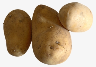 Raw Potato Png Image - Potato Png #186885