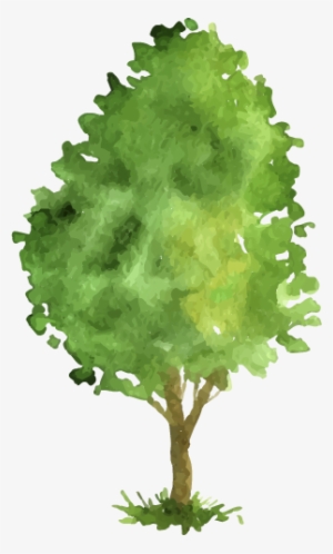 Shiretoko Goko Lakes Visitor Rule Guidelines - Tree #187064